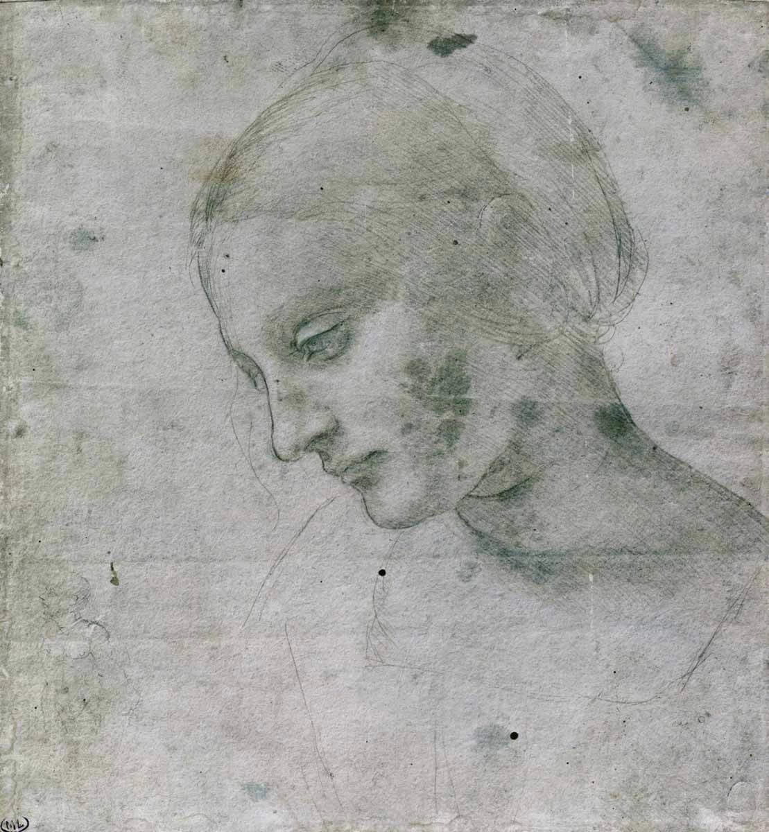 66-studio della testa di una donna - Museo del Louvre, Parigi